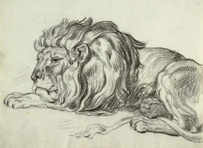 19th Century, Charcoal on Paper Drawing Study of a Lion